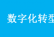 《關(guān)于加快推進國有企業(yè)數(shù)字化轉(zhuǎn)型工作的通知》系列解讀之一：總體篇