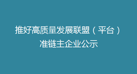 推好高質(zhì)量發(fā)展聯(lián)盟（平臺(tái)）準(zhǔn)鏈主企業(yè)公示