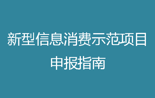 2021年新型信息消費示范項目申報指南