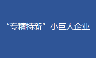 “專精特新”小巨人企業(yè)