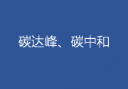 這次會議謀劃了“十四五”碳達(dá)峰、碳中和工作“施工圖”