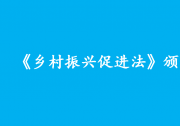 全面推進(jìn)鄉(xiāng)村振興有了長(zhǎng)久制度保障