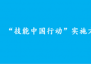 人力資源社會保障部關于印發(fā)“技能中國行動”實施方案的通知