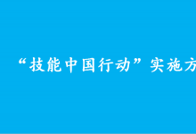 人力資源社會保障部關于印發(fā)“技能中國行動”實施方案的通知