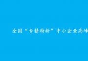 全國(guó)“專精特新”中小企業(yè)高峰論壇在長(zhǎng)沙舉行