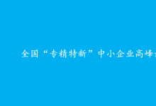 全國“專精特新”中小企業(yè)高峰論壇在長沙舉行