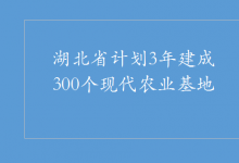 湖北省計劃3年建成300個現(xiàn)代農(nóng)業(yè)基地