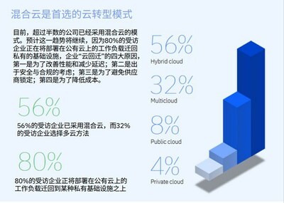 摘自《IBM企業(yè)轉(zhuǎn)型指數(shù)：云現(xiàn)狀》2022年研究報(bào)告