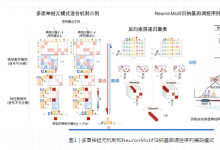 生物信息學(xué)|清華大學(xué)自動化系汪小我團(tuán)隊(duì)合作提出自動歸納基因調(diào)控序列編碼模式的神經(jīng)網(wǎng)絡(luò)解釋方法