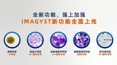 Imagyst新功能一覽圖