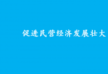 中共中央 國務(wù)院關(guān)于促進民營經(jīng)濟發(fā)展壯大的意見