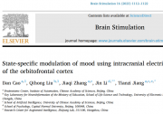 腦刺激助力擺脫情緒陰霾，自動(dòng)化所團(tuán)隊(duì)揭示顱內(nèi)電刺激改善個(gè)體情緒狀態(tài)新機(jī)制