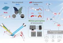 科研新動態(tài)｜沈陽自動化所微型機(jī)器人研究取得新進(jìn)展