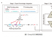 紫冬學(xué)術(shù)丨清華大學(xué)自動(dòng)化系汪小我團(tuán)隊(duì)提出知識(shí)引導(dǎo)與數(shù)據(jù)驅(qū)動(dòng)相融合的合成啟動(dòng)子AI設(shè)計(jì)方法