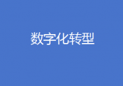 數(shù)字化轉(zhuǎn)型 專欄