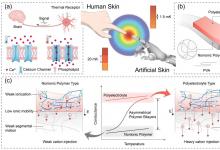 吉林大學(xué)張彤教授、趙紅然副教授團(tuán)隊(duì)ACS Nano：利用非對(duì)稱聚合物雙層中熱誘導(dǎo)離子跨膜遷移機(jī)制實(shí)現(xiàn)超靈敏溫度傳感