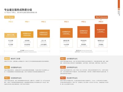 眾合云科“專業(yè)雇主服務(wù)成熟度分級(jí)”模型