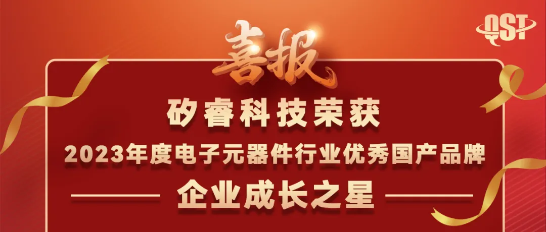 矽睿科技榮獲2023年度電子元器件行業(yè)優(yōu)秀國產品牌企業(yè)成長之星