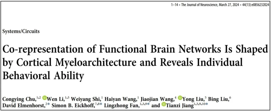  自動化所提出定量刻畫人腦功能組織模式的新指標 | The Journal of Neuroscience