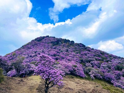 昆明轎子山風(fēng)景區(qū)