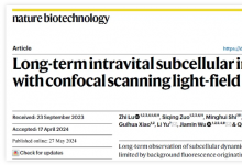 戴瓊海/吳嘉敏/俞立團隊發(fā)布共聚焦掃描光場顯微鏡：活體長時程高速三維高分辨觀測新利器