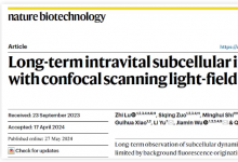 紫冬學術 | 戴瓊海/吳嘉敏/俞立團隊發(fā)布共聚焦掃描光場顯微鏡：活體長時程高速三維高分辨觀測新利器