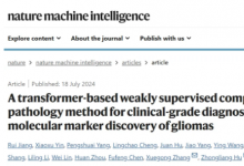 清華大學自動化系副研究員閭海榮合作發(fā)表精準病理診斷AI基礎模型