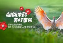 久久公益節(jié)，菲仕蘭發(fā)起捐步活動守護(hù)朱鹮家園