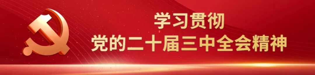 加快推進新型工業(yè)化——訪工業(yè)和信息化部黨組書記、部長金壯龍