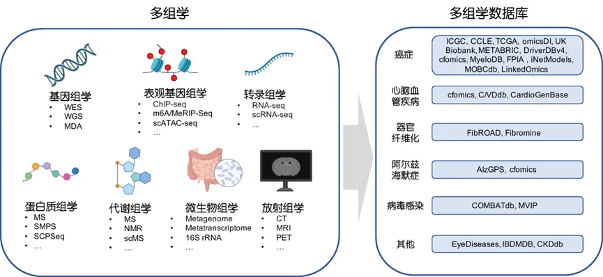 科學(xué)通報(bào)|清華大學(xué)魯志團(tuán)隊(duì)綜述復(fù)雜疾病中多組學(xué)多模態(tài)數(shù)據(jù)的生物信息學(xué)研究進(jìn)展