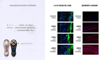 上海市皮膚病醫(yī)院美容儀促進(jìn)活性成分皮膚導(dǎo)入作用研究報(bào)告觀測(cè)結(jié)果圖