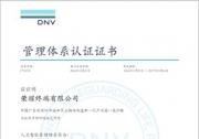 榮耀成國內(nèi)首個獲ISO/IEC 42001認(rèn)證的終端企業(yè)