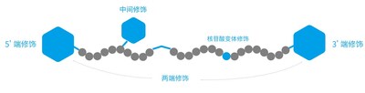 圖3.Oligo修飾類型功能分類