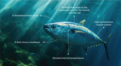 立邦船舶涂料研發(fā)團隊從海洋生物中汲取靈感[5]