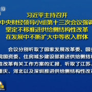 習(xí)近平：堅定不移推進供給側(cè)結(jié)構(gòu)性改革