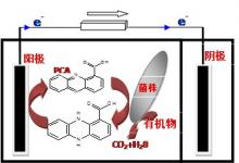 哈工大微生物燃料電池研究獲重要進(jìn)展