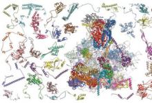 技術進步讓生物學研究者獲得數(shù)量更多、質量更好的電鏡圖像